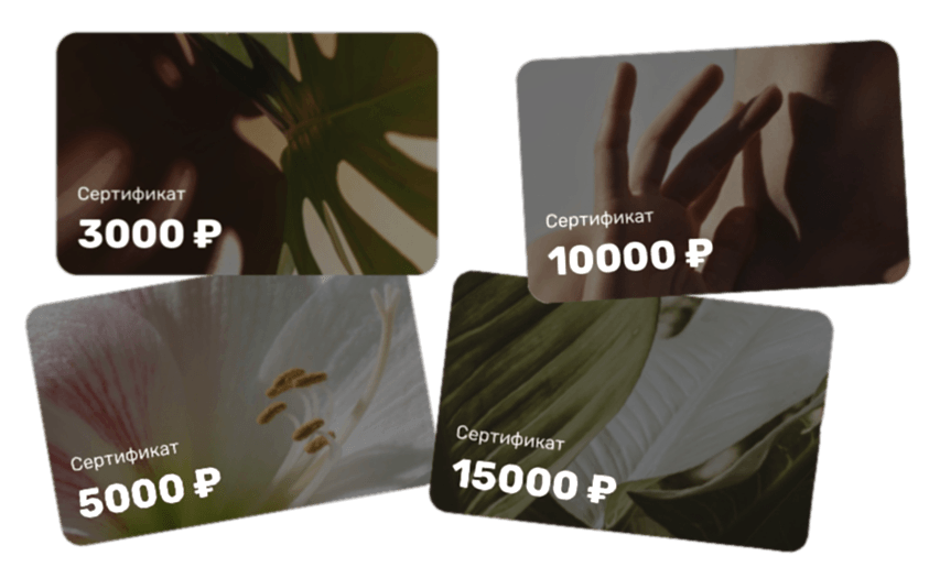 sertds.png sertds.png